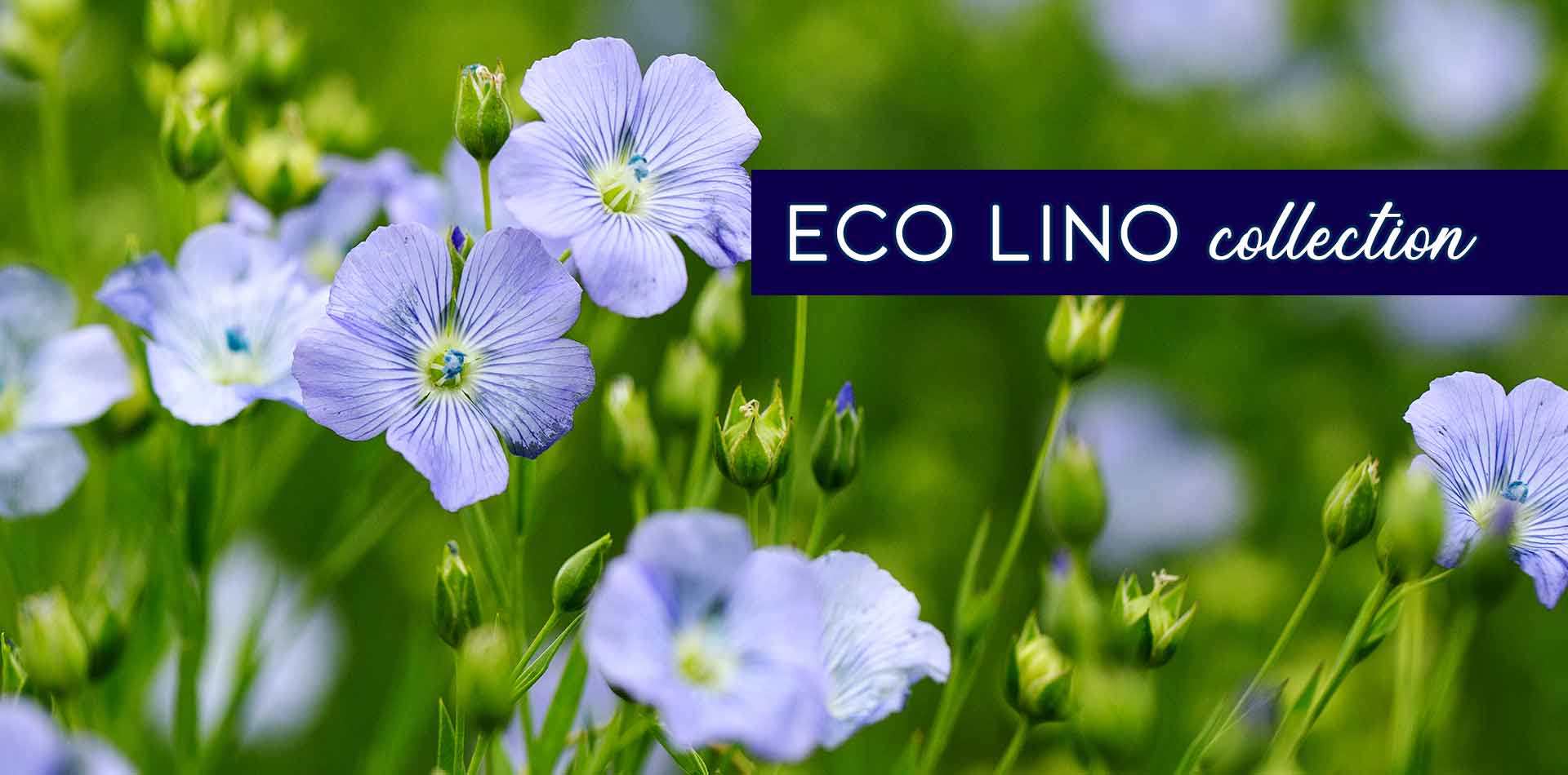 ECO_LINO